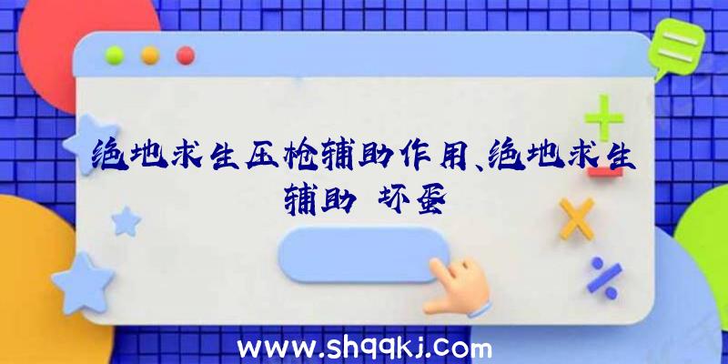 绝地求生压枪辅助作用、绝地求生辅助